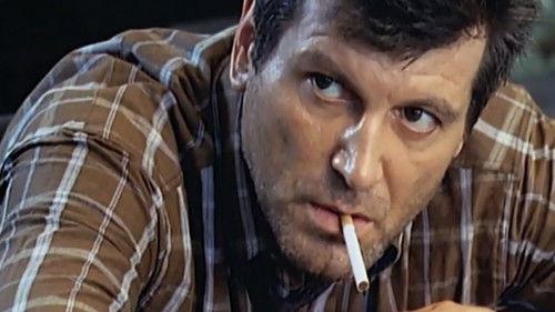 Cops filmas žiurėti online