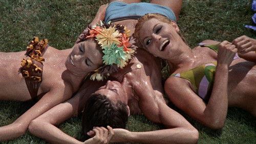 Kiss Me Monster filmas žiurėti online