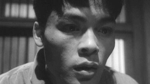 Darkness at Noon filmas žiurėti online