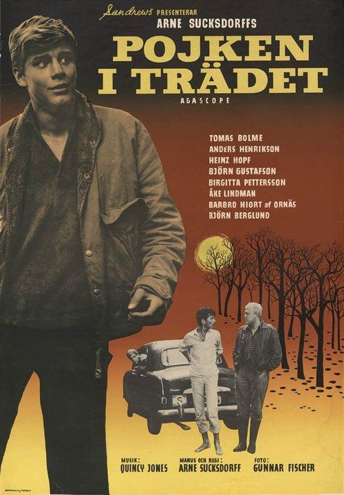 The Boy in the Tree filmas online