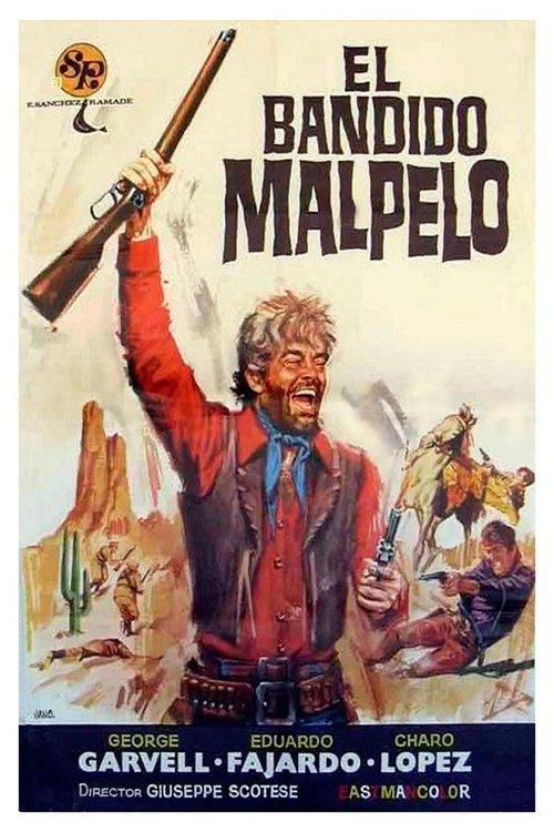 El Bandido Malpelo filmas online