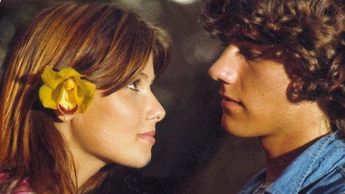 Crazy Jungle Adventure filmas žiurėti online