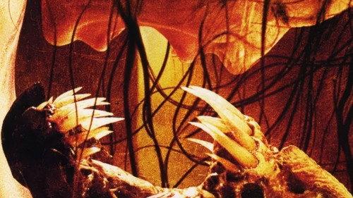 Feast filmas žiurėti online