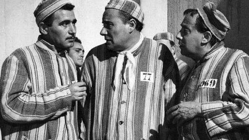 It Happened in the Penitentiary filmas žiurėti online