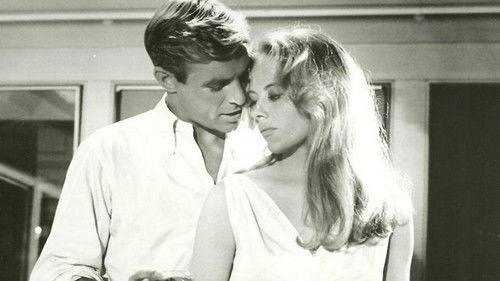 Shadow Over Elveron filmas žiurėti online