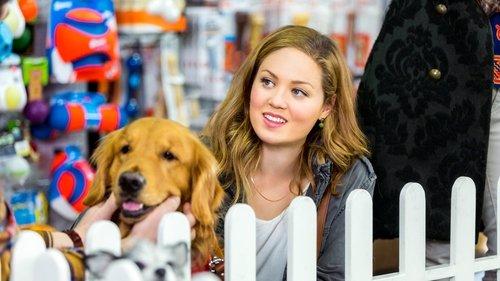 My Boyfriends' Dogs filmas žiurėti online