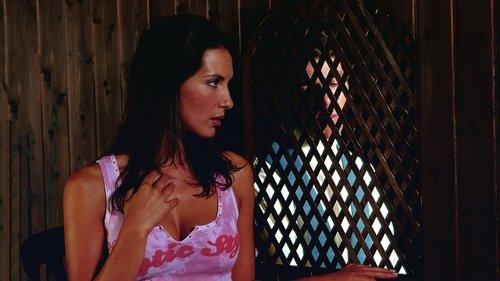 The Crime of Father Amaro filmas žiurėti online