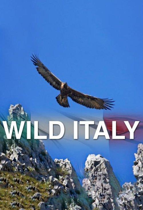 Wild Italy filmas online