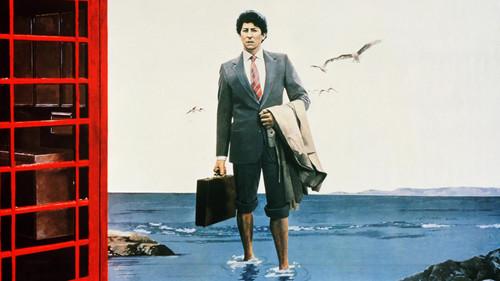 Local Hero filmas žiurėti online