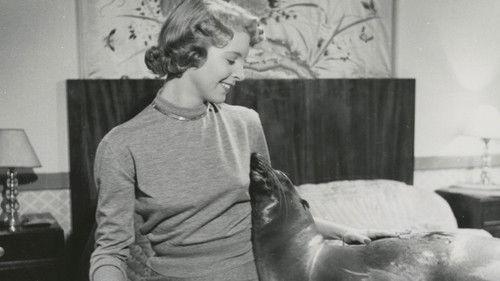 Min vän Oscar filmas žiurėti online