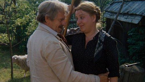 The Millennial Bee filmas žiurėti online