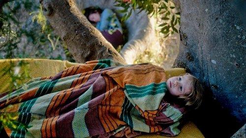 Tėve mūsų, kuris esi medyje filmas žiurėti online