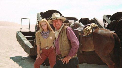 The Train Robbers filmas žiurėti online