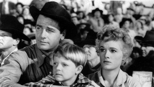 Arena filmas žiurėti online