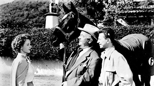 Francis Covers the Big Town filmas žiurėti online