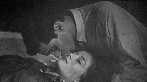 Soft Skin on Black Silk filmas žiurėti online