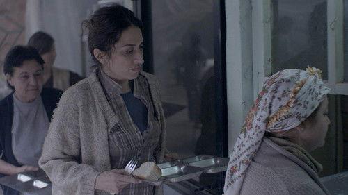 Zerre filmas žiurėti online