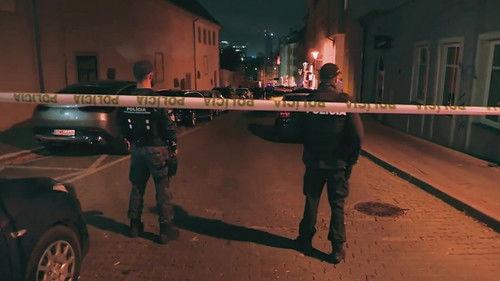 The Rise and Fall of Terrorgram filmas žiurėti online