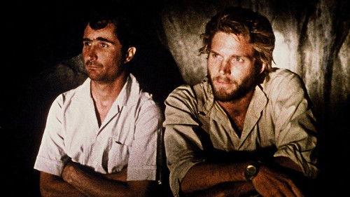 Cinema, Aspirinas e Urubus filmas žiurėti online