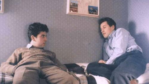 Brothers and Sisters filmas žiurėti online