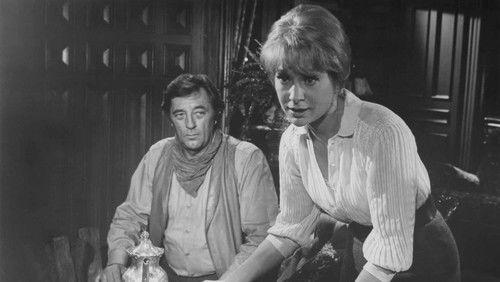 The Good Guys and the Bad Guys filmas žiurėti online