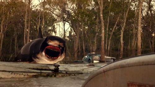 Trailer Park Shark filmas žiurėti online