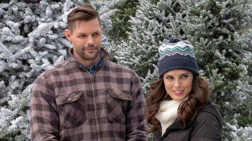 Last Vermont Christmas filmas žiurėti online