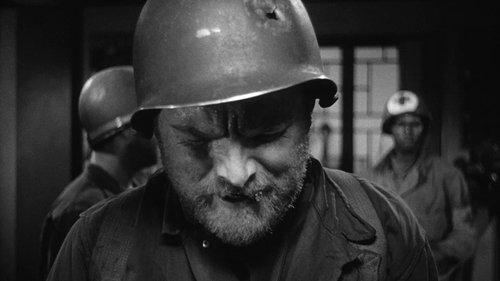 The Steel Helmet filmas žiurėti online
