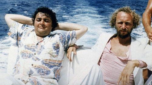 Les Naufragés de l'ile de la Tortue filmas žiurėti online