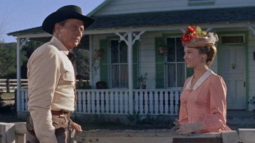 Wichita filmas žiurėti online