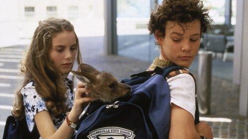 Joey filmas žiurėti online