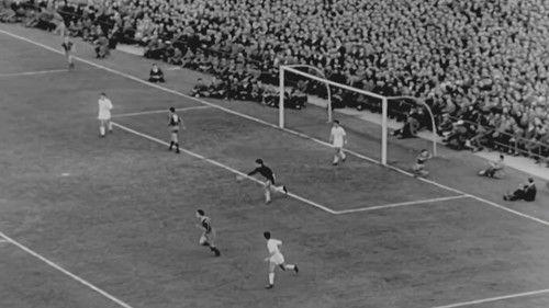 La quiniela filmas žiurėti online