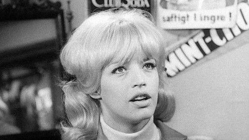 Pang i bygget filmas žiurėti online