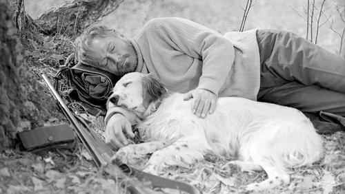 White Bim Black Ear filmas žiurėti online