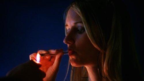 Life Is Hot in Cracktown filmas žiurėti online