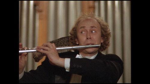 The Little Cat filmas žiurėti online