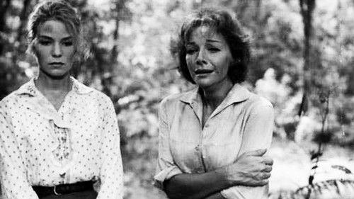 Homage at Siesta Time filmas žiurėti online