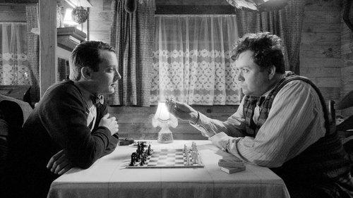 Set Fire to the Stars filmas žiurėti online