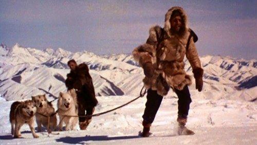 The Wild North filmas žiurėti online