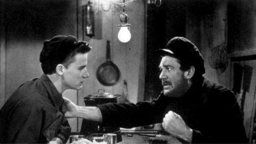 Killer Shark filmas žiurėti online