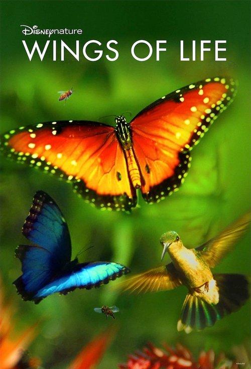 Wings of Life filmas online