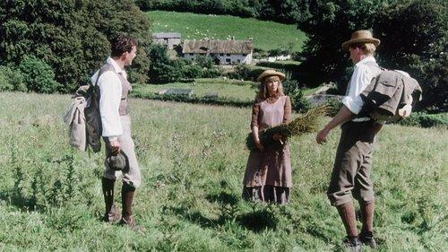 A Summer Story filmas žiurėti online