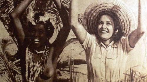 Quax in Afrika filmas žiurėti online