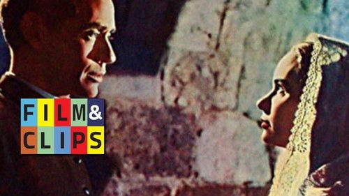 Proibito filmas žiurėti online