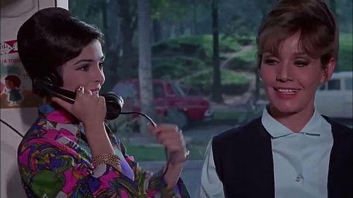 Why Was I Born a Woman? filmas žiurėti online