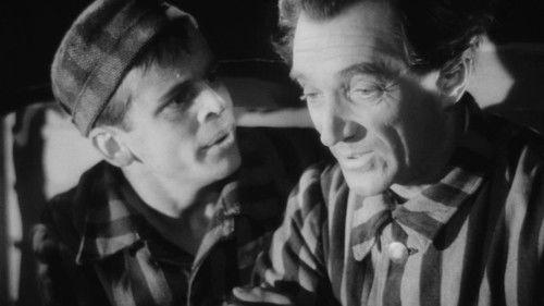 Morituri filmas žiurėti online