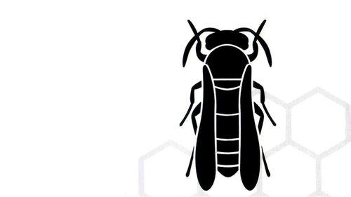 Nid de guêpes filmas žiurėti online