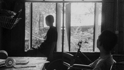 Mysterious Object at Noon filmas žiurėti online