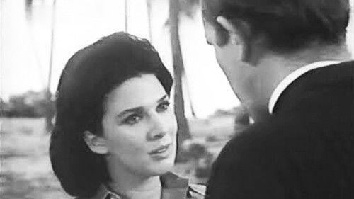 Los traidores de San Ángel filmas žiurėti online