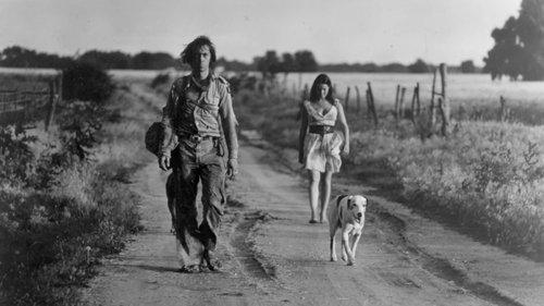 Americana filmas žiurėti online